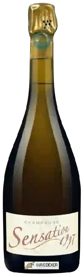 Winery Vincent Couche - Sensation Millesimé Champagne Winery Vincent Couche - Sensation Millesimé Champagne