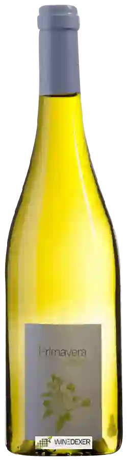 Winery Vincent Giraudon - Primavera Winery Vincent Giraudon - Primavera