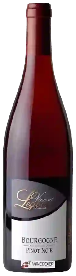 Winery Vincent Legou - Bourgogne Pinot Noir