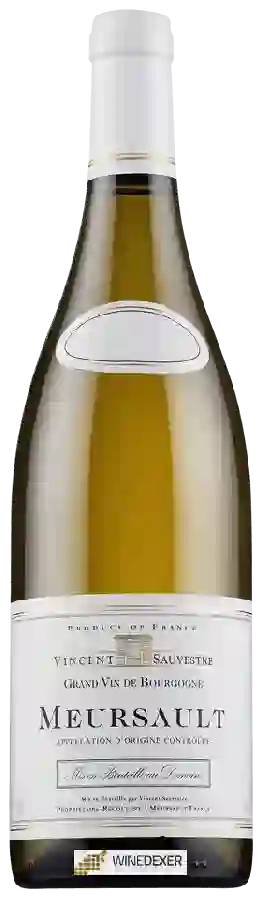 Winery Vincent Sauvestre - Meursault