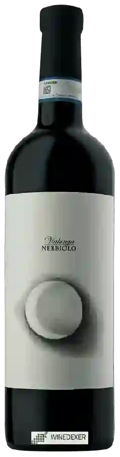 Winery Vincenzo Bossotti - Vialunga Langhe Nebbiolo