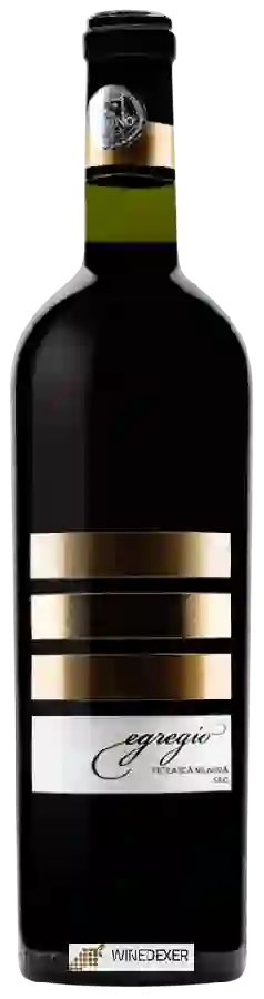 Winery Vincon Romania - Egregio Fetească Neagră Sec