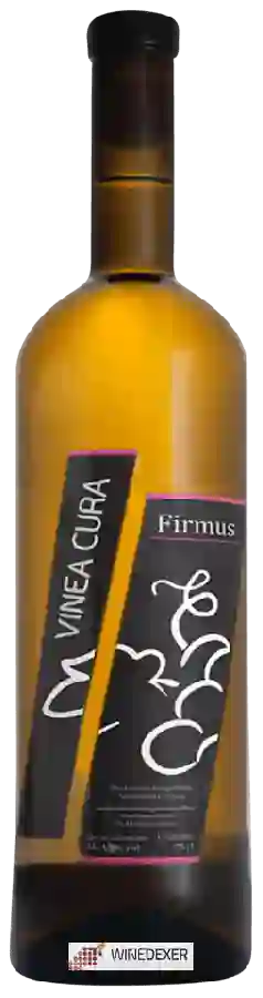 Winery Vinea Cura - Firmus Winery Vinea Cura - Firmus