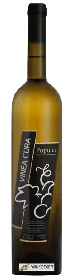 Winery Vinea Cura - Populus