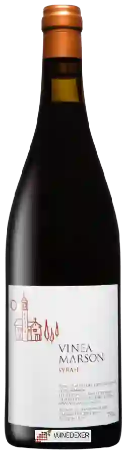 Winery Vinea Marson - Syrah Winery Vinea Marson - Syrah