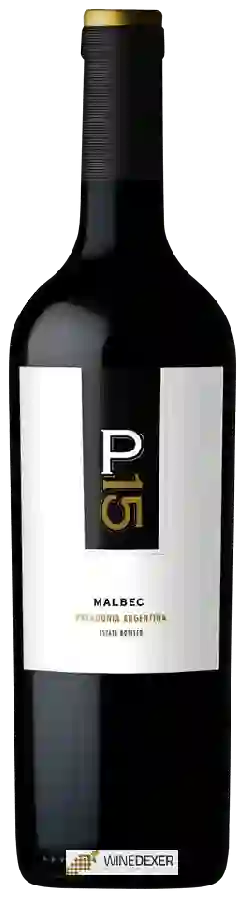 Winery Malma - NQN - P 15 Malbec