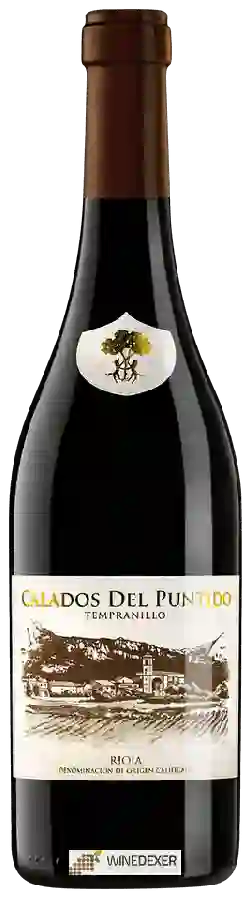 Winery Viñedos de Páganos - Calados de Puntido Tempranillo Winery Viñedos de Páganos - Calados de Puntido Tempranillo