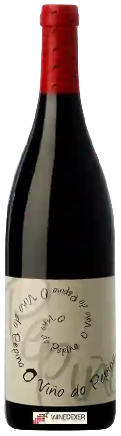 Winery Viñedos do Gabián - O Viño do Pepiño