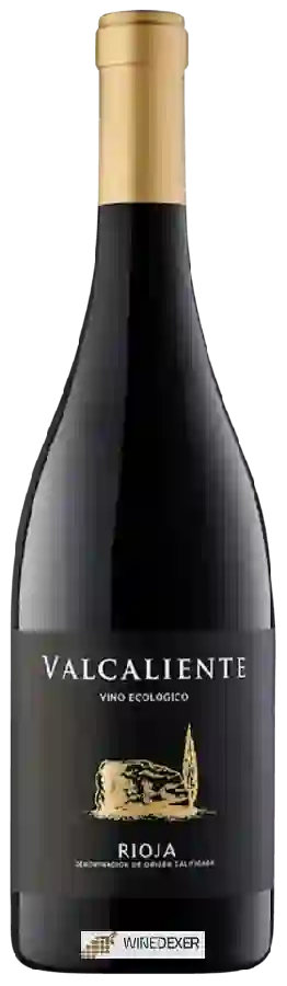 Winery Viñedos Ruiz Jiménez - Valcaliente Ecológico