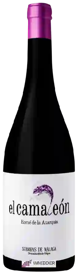 Winery Viñedos Verticales - El Camaleón Romé de la Axarquía Winery Viñedos Verticales - El Camaleón Romé de la Axarquía