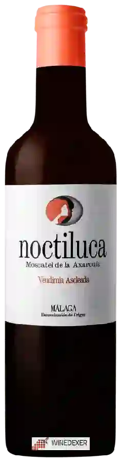 Winery Viñedos Verticales - Noctiluca Winery Viñedos Verticales - Noctiluca