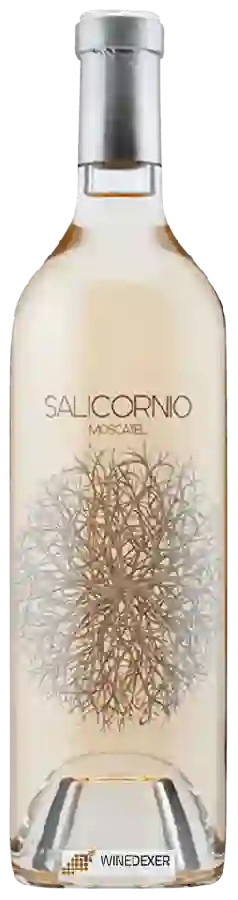 Winery Vinessens - Casa Balaguer - Salicornio Moscatel