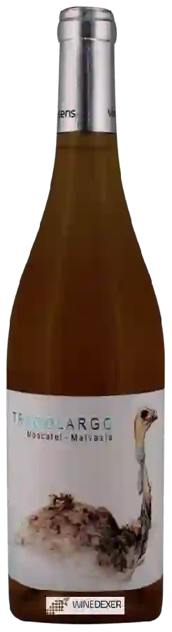 Winery Vinessens - Casa Balaguer - Tragolargo Moscatel - Malvasia Winery Vinessens - Casa Balaguer - Tragolargo Moscatel - Malvasia