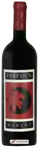 Winery Vini Sara Meneguz - Festuca Merlot
