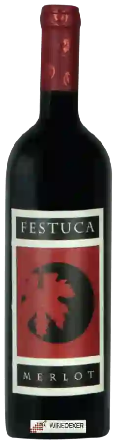 Winery Vini Sara Meneguz - Festuca Merlot Winery Vini Sara Meneguz - Festuca Merlot