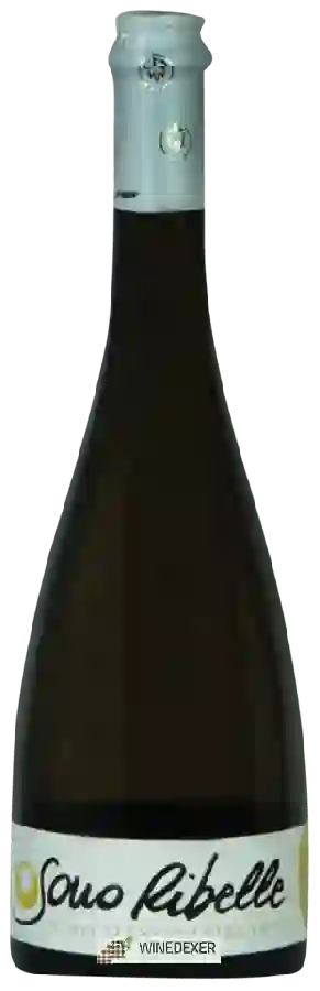 Winery Vini Sara Meneguz - Sono Ribelle Bianco Frizzante