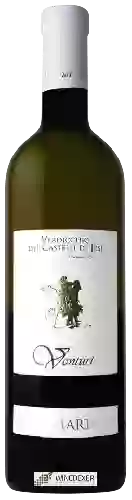 Winery Vini Venturi - San Martino Verdicchio dei Castelli di Jesi