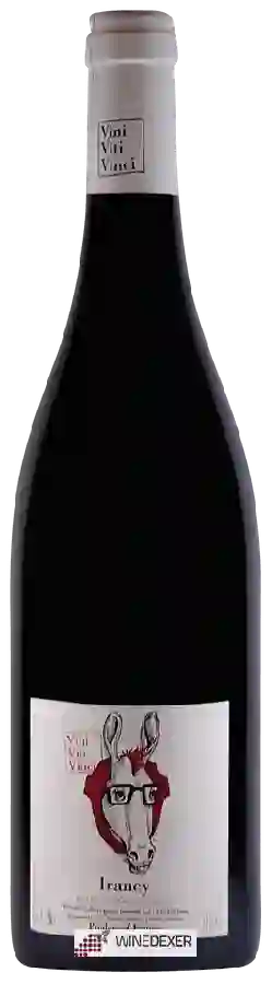 Winery Vini Viti Vinci - Irancy