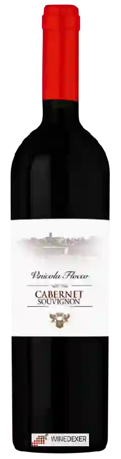Winery Vinicola Flocco - Cabernet Sauvignon Winery Vinicola Flocco - Cabernet Sauvignon