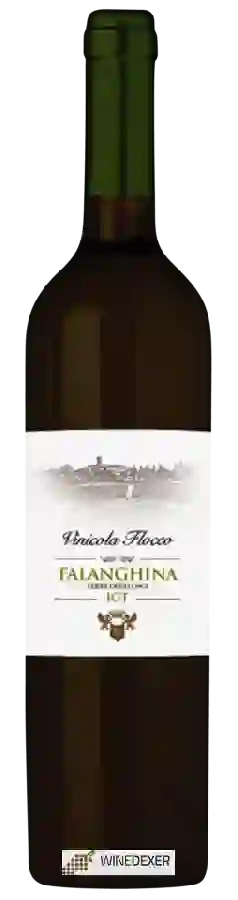 Winery Vinicola Flocco - Falanghina