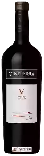 Winery Viniterra - Cabernet Sauvignon