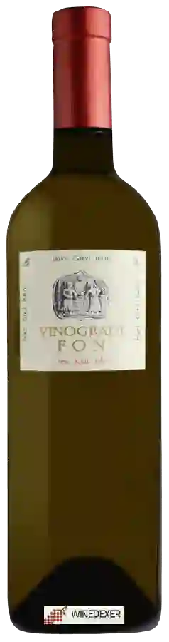 Winery Vinogradi Fon - Vitovska