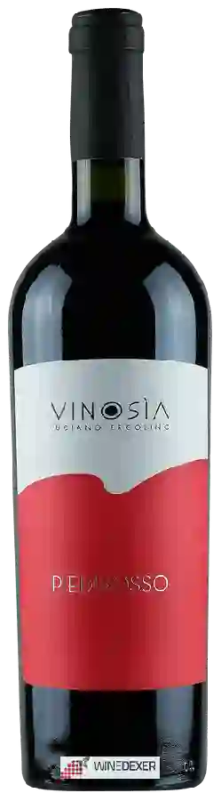 Winery Vinosia - Piedirosso Winery Vinosia - Piedirosso