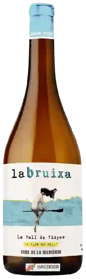 Winery Vins de la Memòria - La Bruixa Winery Vins de la Memòria - La Bruixa
