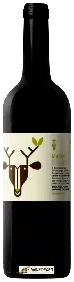 Winery Vins de Taller - Cervus Malbec