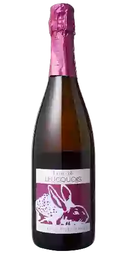 Winery Vins-Lelièvre - Les Evèques Pinot Noir