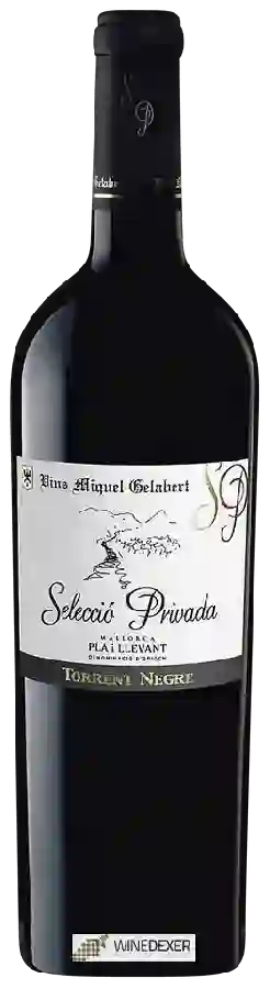 Winery Vins Miquel Gelabert - Selecció Privada Torrent Negre Cabernet Sauvignon Winery Vins Miquel Gelabert - Selecció Privada Torrent Negre Cabernet Sauvignon