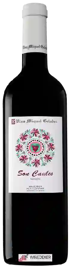 Winery Vins Miquel Gelabert - Vinya Son Caules Negre