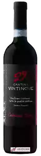Winery Vintinove - Cabernet Franc