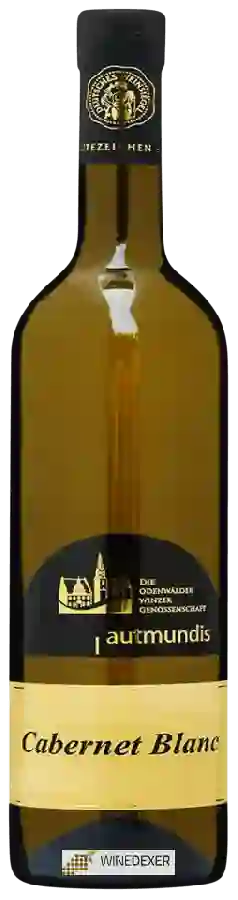 Winery Vinum Autmundis - Cabernet Blanc
