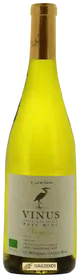 Winery Vinus - Viognier