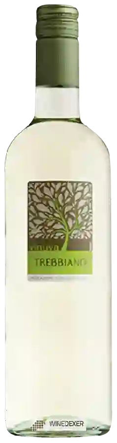 Winery Vinuva - Trebbiano Winery Vinuva - Trebbiano