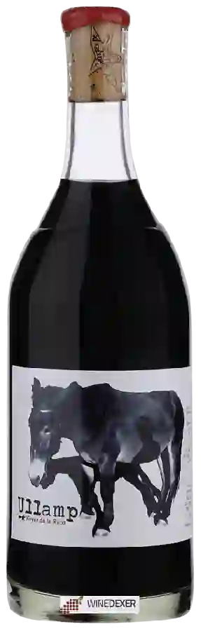 Winery Vinyer de la Ruca - Ullamp