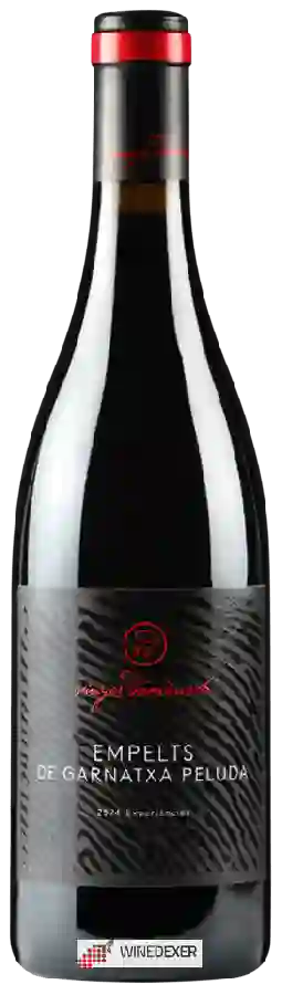 Winery Vinyes Domenech - Empelts de Garnatxa Peluda Winery Vinyes Domenech - Empelts de Garnatxa Peluda