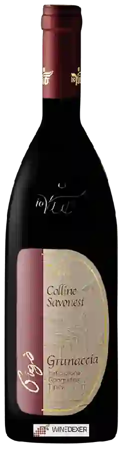 Winery Vio Giobatta - BioVio - Gigò Granaccía Colline Savonesi Winery Vio Giobatta - BioVio - Gigò Granaccía Colline Savonesi