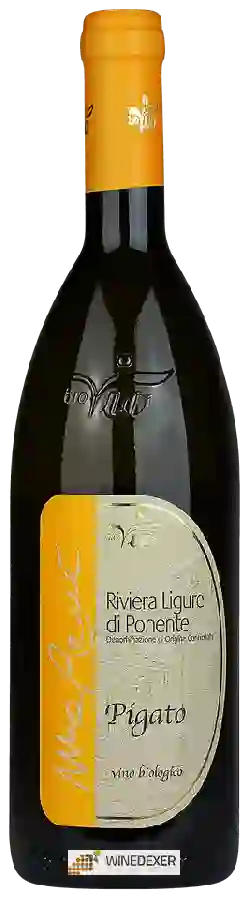 Winery Vio Giobatta - BioVio - Ma René Pigato Riviera Ligure di Ponente Winery Vio Giobatta - BioVio - Ma René Pigato Riviera Ligure di Ponente