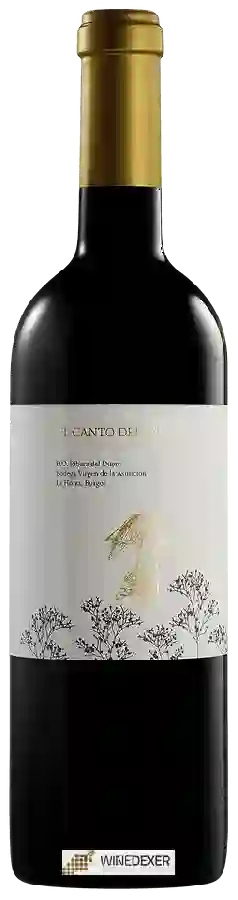Winery Virgen de la Asuncion - El Canto del Ángel Winery Virgen de la Asuncion - El Canto del Ángel