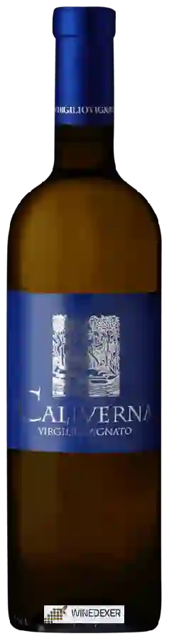 Winery Virgilio Vignato - Caliverna Winery Virgilio Vignato - Caliverna