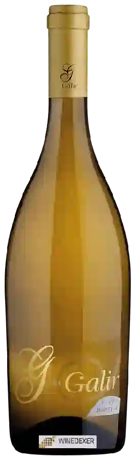 Bodegas Virxen de Galir - G de Galir Godello Barrica