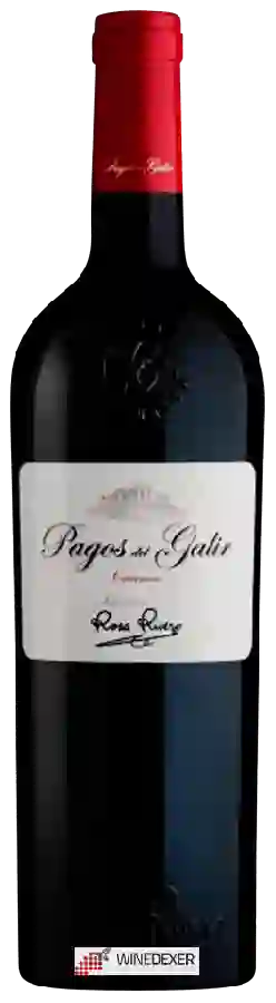 Bodegas Virxen de Galir - Pagos del Galir Selección Rosa Rivero Crianza Bodegas Virxen de Galir - Pagos del Galir Selección Rosa Rivero Crianza