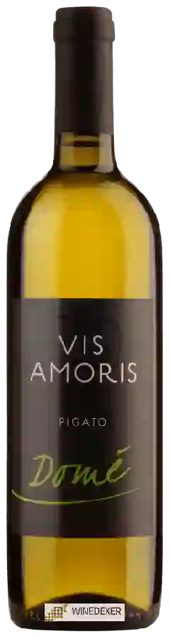 Winery Vis Amoris - Pigato Domé