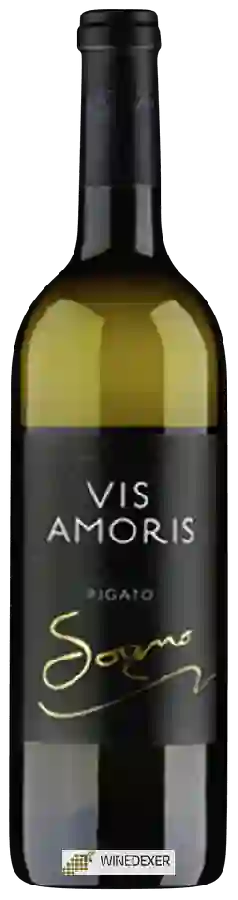 Winery Vis Amoris - Pigato Sogno Winery Vis Amoris - Pigato Sogno
