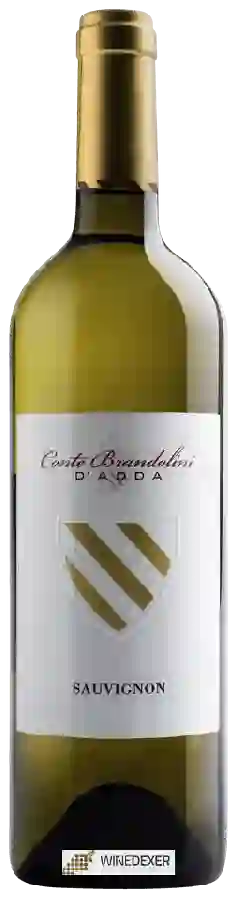 Winery Conte Brandolini - Sauvignon