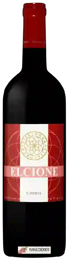 Winery Vitalonga - Elcione Umbria