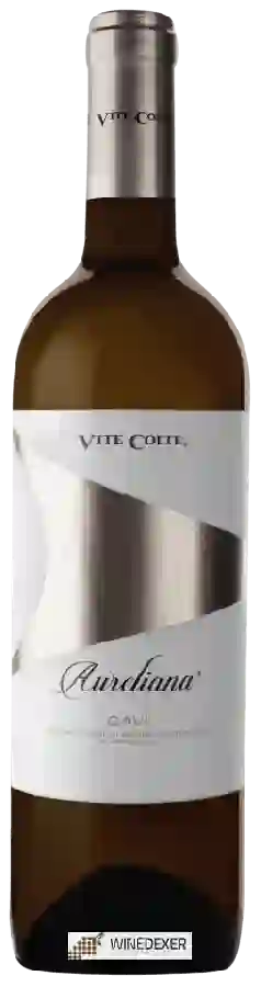 Winery Vite Colte - Aureliana Gavi Winery Vite Colte - Aureliana Gavi