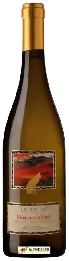 Winery Vite Colte - La Gatta Moscato d'Asti